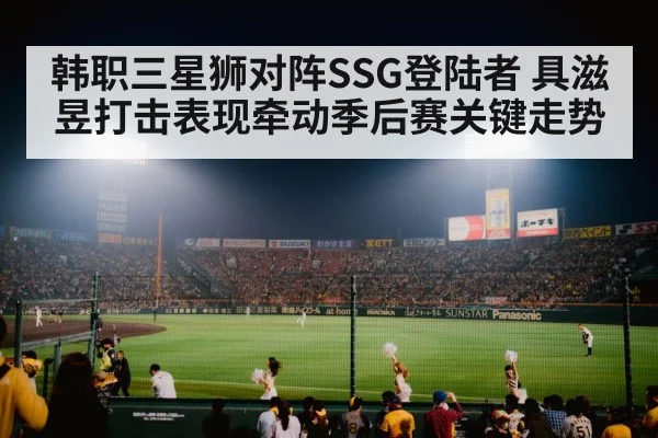 baseball stadium night（b sports）